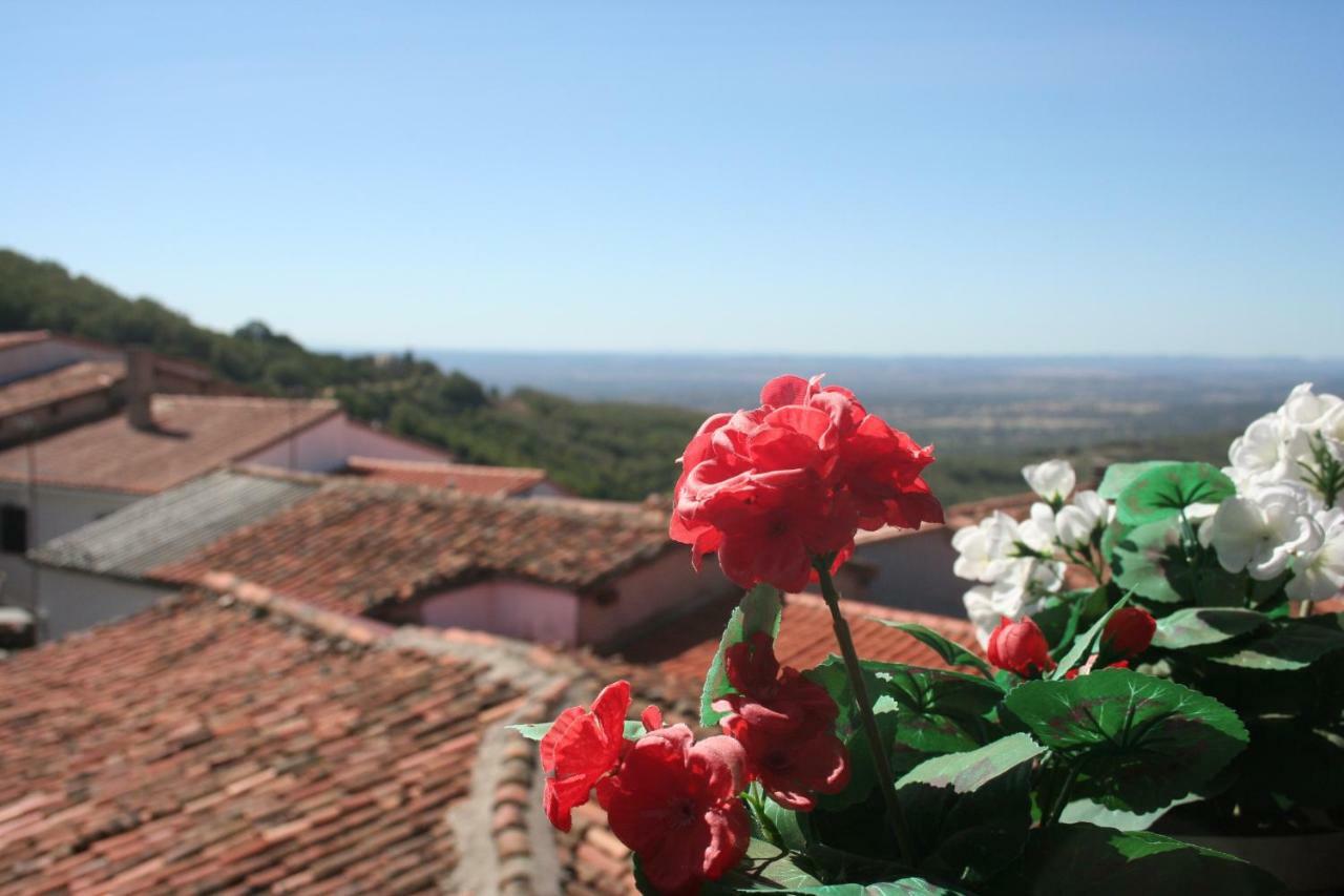 El Hilo Rojo Barrado